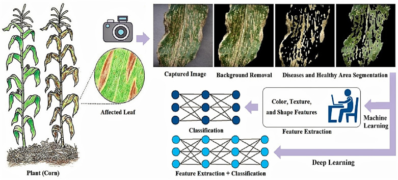 Plant Diseases Detection